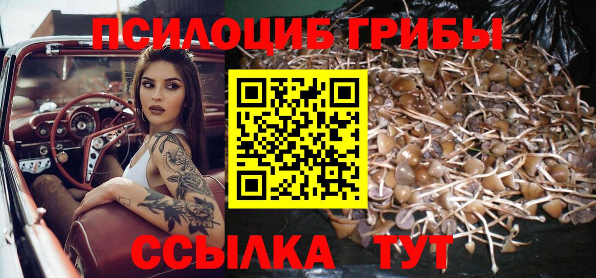 Галлюциногенные грибы GOLDEN TEACHER  Вход с VPN  Галлюциногенные грибы Cubensis  Нурлат 