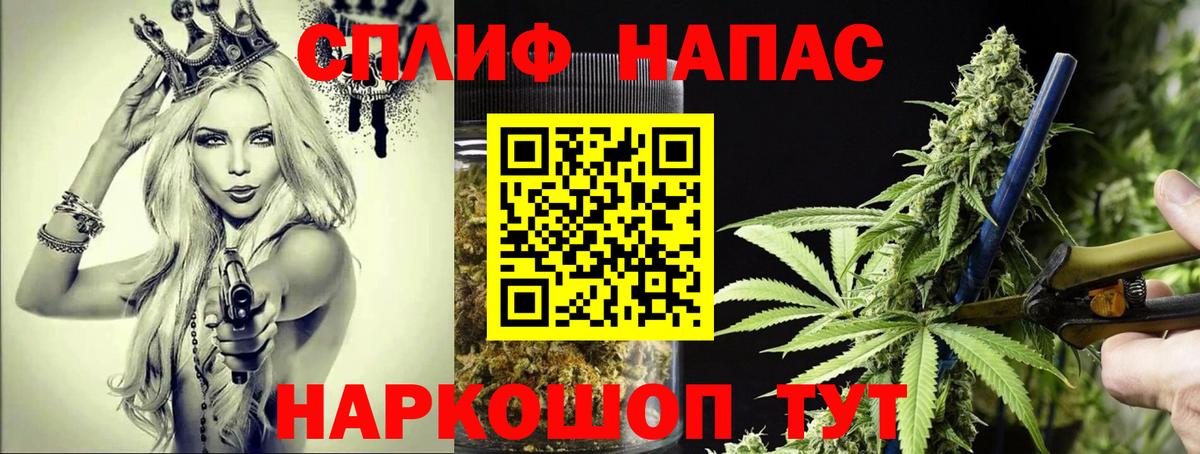 Бошки Шишки планчик Нурлат